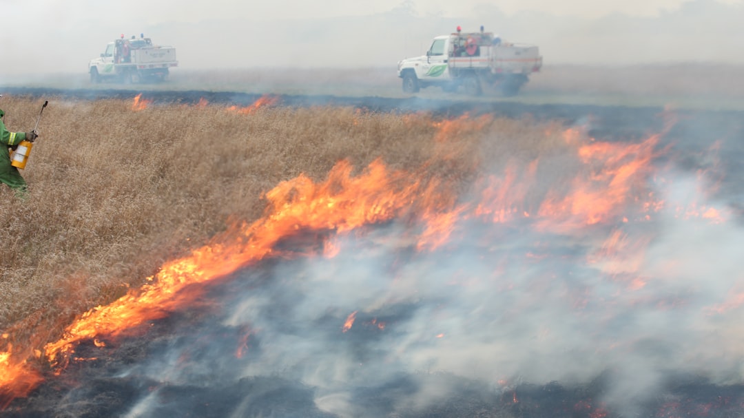 Kozan’da Ev Yangını: Dört Kişi Dumandan Etkilendi - Gündem haberi görseli Kozan’da Ev Yangını: Dört Kişi Dumandan Etkilendi - Gündem haberi görseli