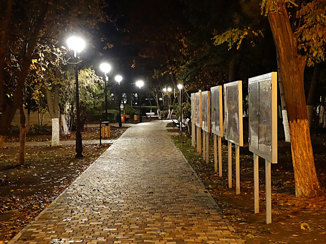 Genç Ressamların Eserleri Kahraman Emmioğlu’nda Sergileniyor - Kültür-Sanat haberi görseli