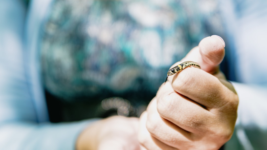 Adana’da Sağlık Aracılarına Çocuk Yaşta Evliliklerle Mücadele Eğitimi Başladı - Yaşam haberi görseli Adana’da Sağlık Aracılarına Çocuk Yaşta Evliliklerle Mücadele Eğitimi Başladı - Yaşam haberi görseli