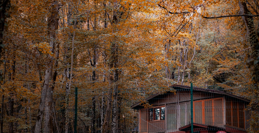 İstanbul’da Sonbaharın ‘İki Renkli’ Günü: Sıcak ve Soğuk Farkı Yüz Güldürdü - Gündem haberi görseli