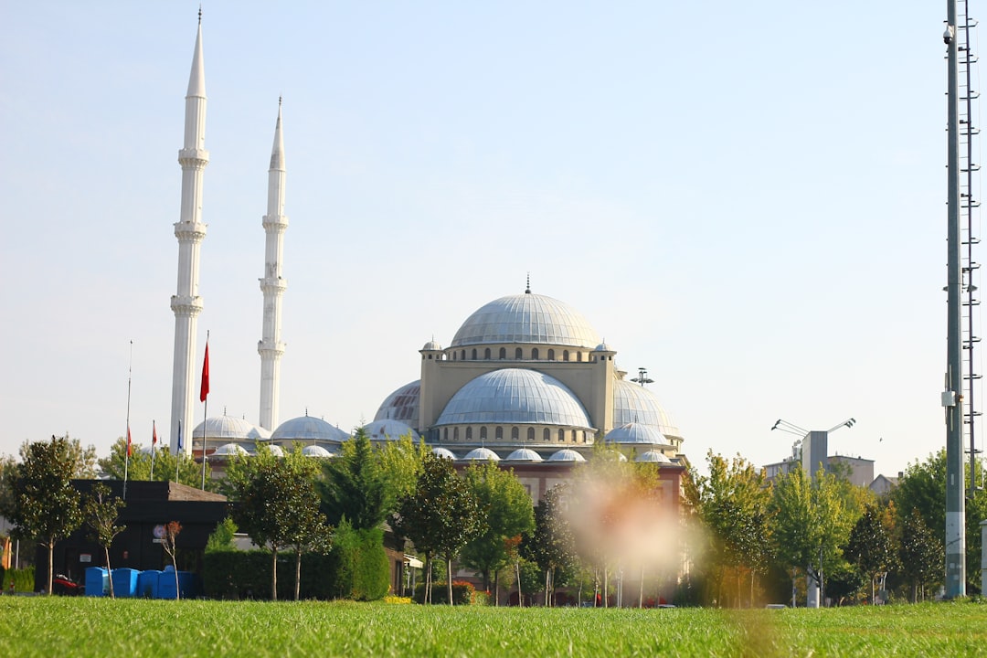 İnegöl’de 77 Yaşındaki Kadının Safra Kesesinden 213 Taş Başarıyla Çıkarıldı - Sağlık haberi görseli