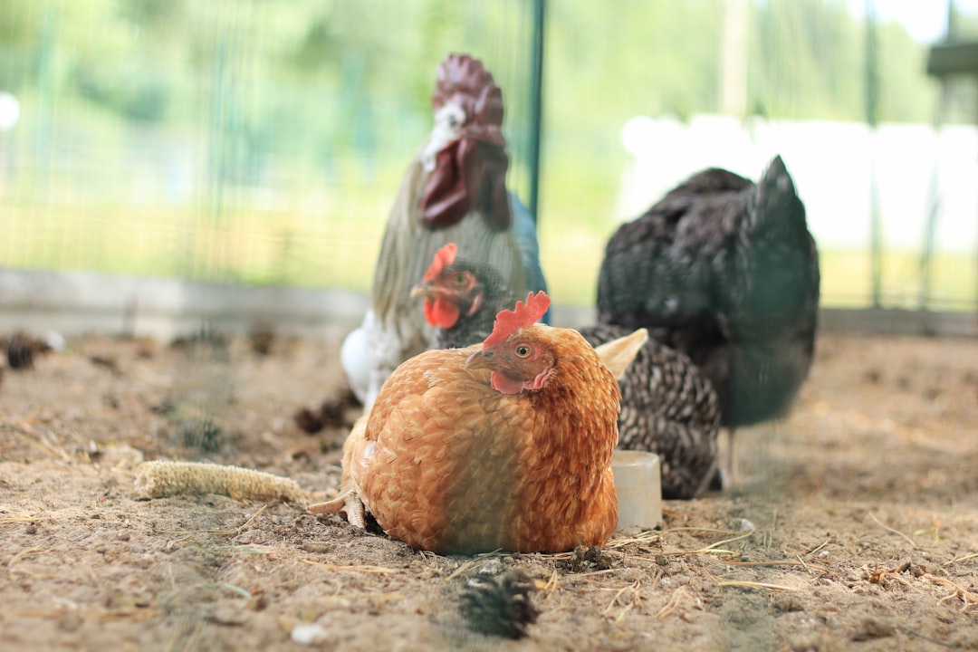 Gaziantep’te Gıda Kaynağından Zehirlenen Sağlık Personelleri Tedavi Ediliyor - Sağlık haberi görseli Gaziantep’te Gıda Kaynağından Zehirlenen Sağlık Personelleri Tedavi Ediliyor - Sağlık haberi görseli