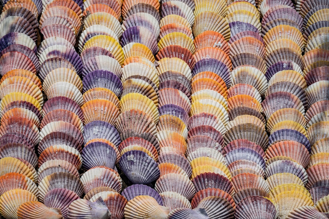 Gaziantep Kültür Sanat Platformunda “Rumkale’nin Renkleri” Sergisi Açıldı - Kültür-Sanat haberi görseli