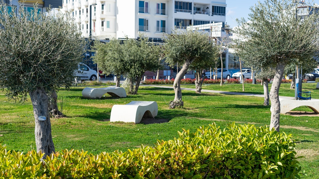 Tepecik Hastanesi’nde Anestezi Palyatif Bakım Merkezi Açıldı - Sağlık haberi görseli