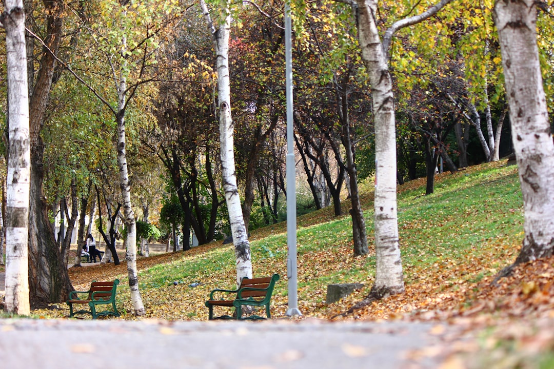 Meram’da Park ve Bahçeler Kışa Hazırlanıyor - Yaşam haberi görseli Meram’da Park ve Bahçeler Kışa Hazırlanıyor - Yaşam haberi görseli
