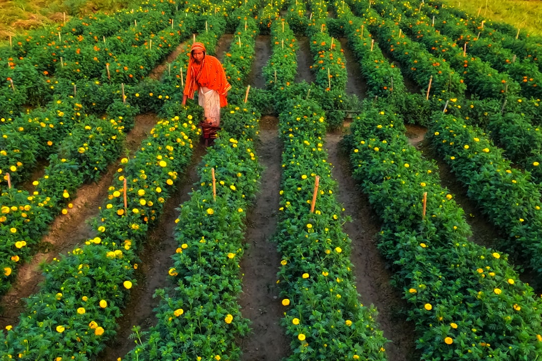 Ankara’da Kritik Tarım Projelerine 367 Milyon TL Hibe Desteği - Ekonomi haberi görseli