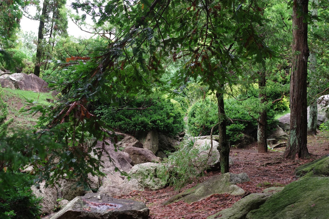 İzmir Büyükşehir Belediyesi’nden Doğal Yaşam Parkı Ziyaretçilerine Yoğun İlgi - Yaşam haberi görseli