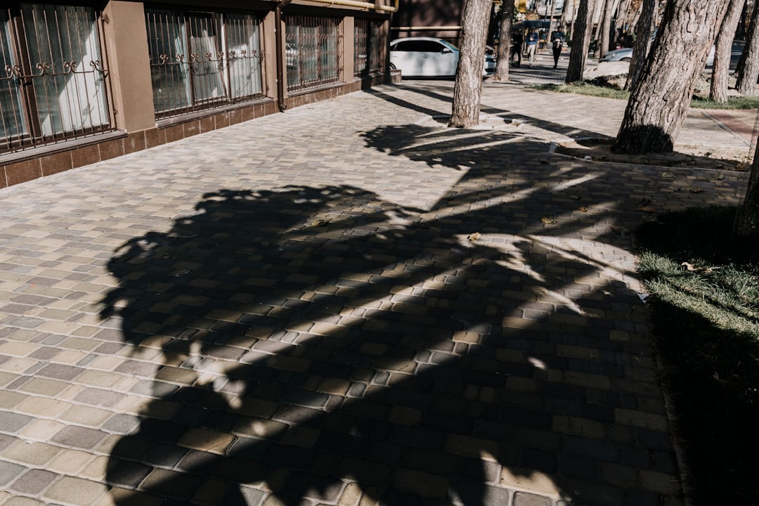 Bursa’da Karagöz Festivali: Geleneksel Gölge Sanatı Sahnelere Dönüyor - Kültür-Sanat haberi görseli Bursa’da Karagöz Festivali: Geleneksel Gölge Sanatı Sahnelere Dönüyor - Kültür-Sanat haberi görseli