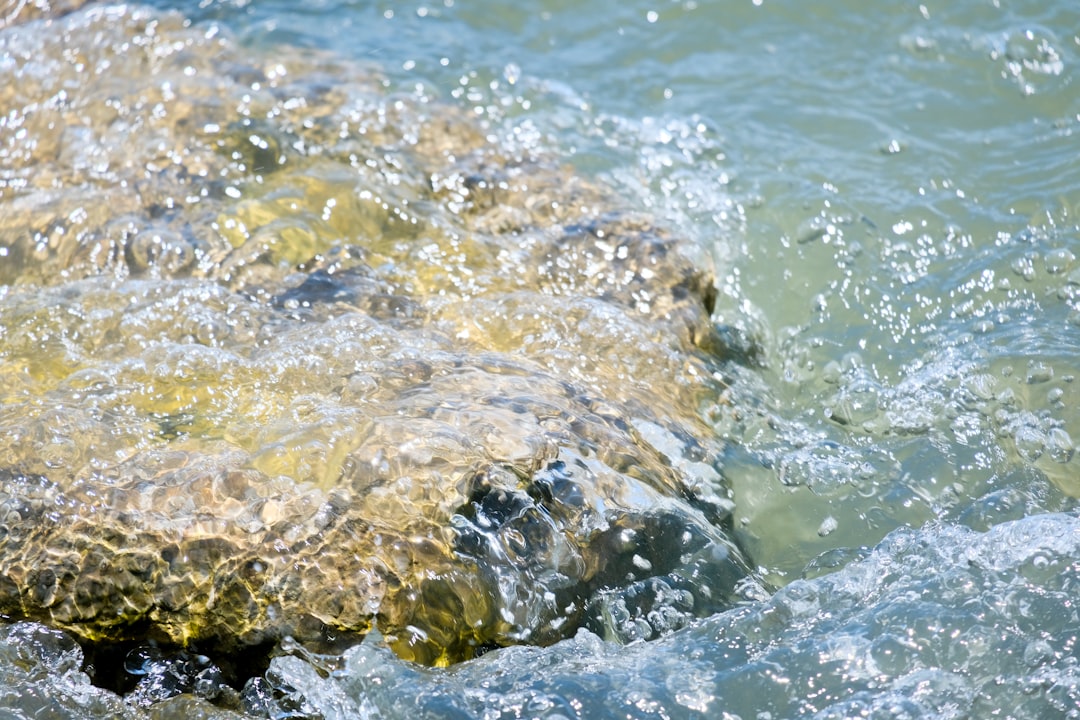 Çıralı’da 25 Yıldır Süren Caretta Caretta Koruma Çalışmalarına Plaket - Yaşam haberi görseli