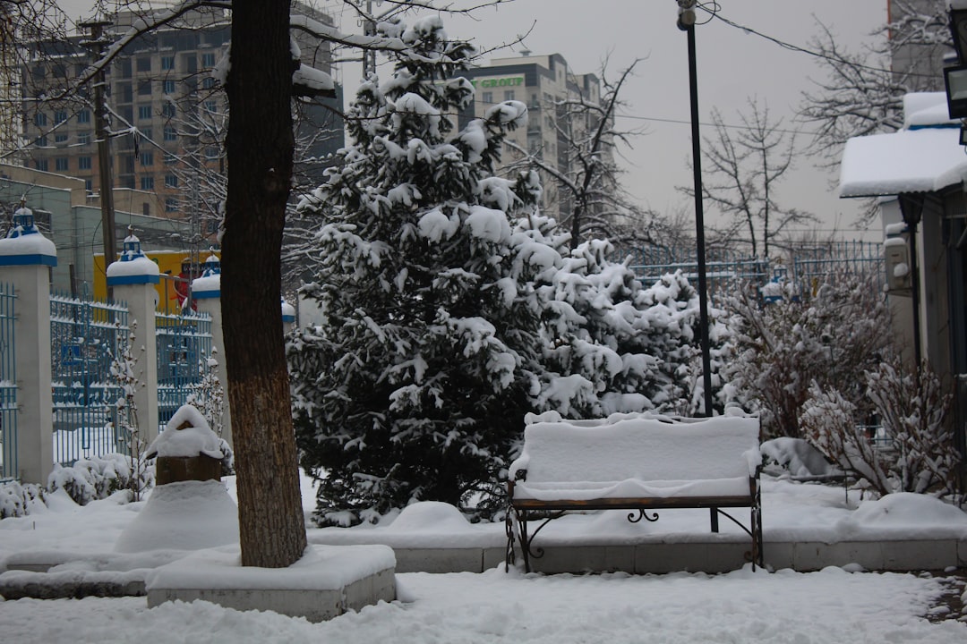 Bursa’da Salı Günü Yazdan Kalma Hava: Sıcaklık 9 ile 25 Derece Arasında Değişecek - Yaşam haberi görseli
