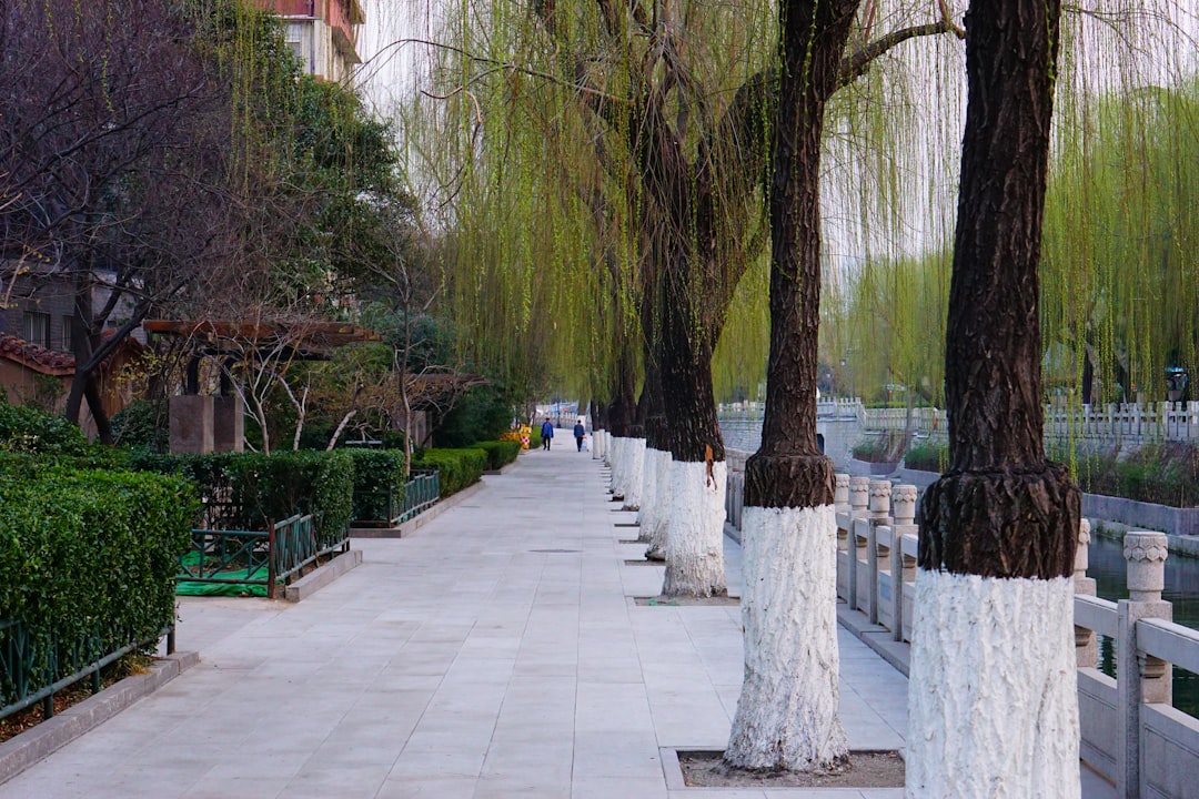 Adana’ya UNDP Destekli Yeşil Dönüşüm Merkezi Geliyor - Ekonomi haberi görseli Adana’ya UNDP Destekli Yeşil Dönüşüm Merkezi Geliyor - Ekonomi haberi görseli