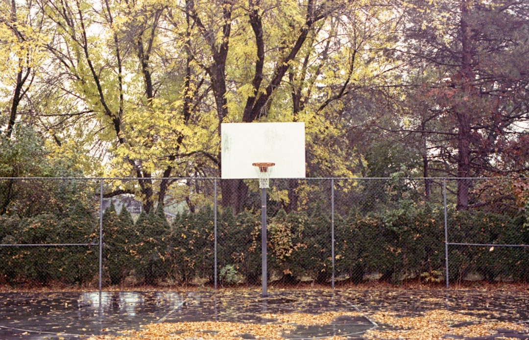 Konya’nın genç basketbol yetenekleri için seçmeler başlıyor - Spor haberi görseli Konya’nın genç basketbol yetenekleri için seçmeler başlıyor - Spor haberi görseli