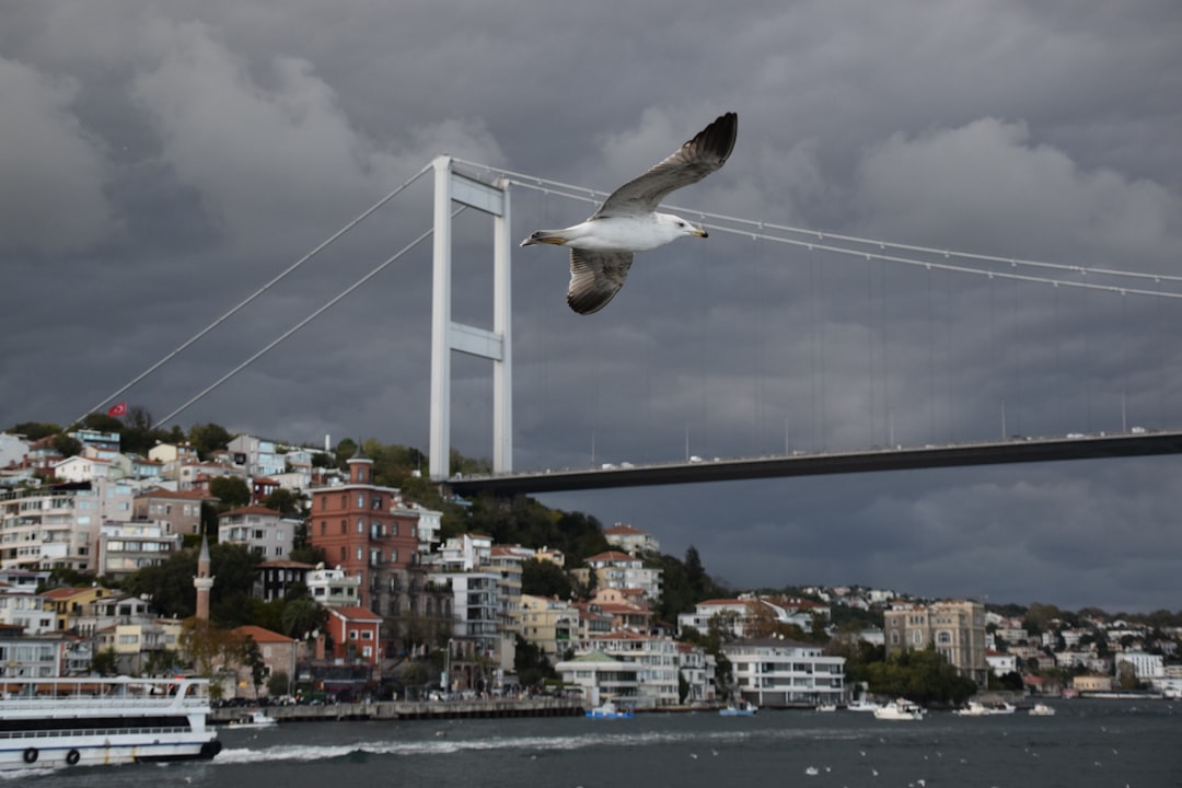 İstanbul’un Balat’ında Haliç Sanat’ta Üç Yeni Sergi Açıldı - Kültür-Sanat haberi görseli