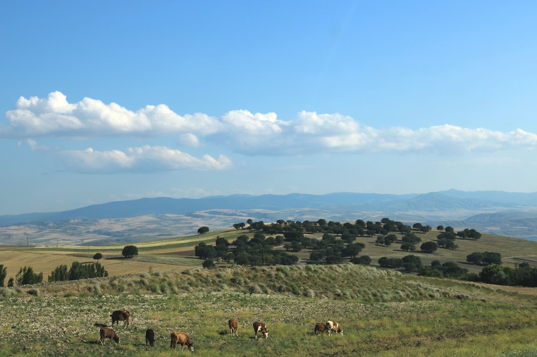 Growtech Fuarı’nda Antalya İlk Uluslararası Tarımsal Diplomasi Zirvesi’ne Ev Sahipliği Yapıyor - Gündem haberi görseli