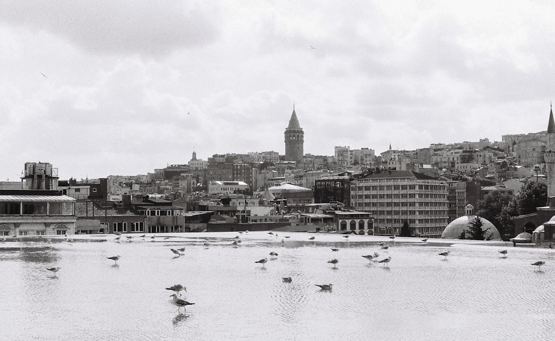Balat’ta Üç Yeni Sergi: Haliç’in Kültürel Mirası Sahneye Taşınıyor - Kültür-Sanat haberi görseli