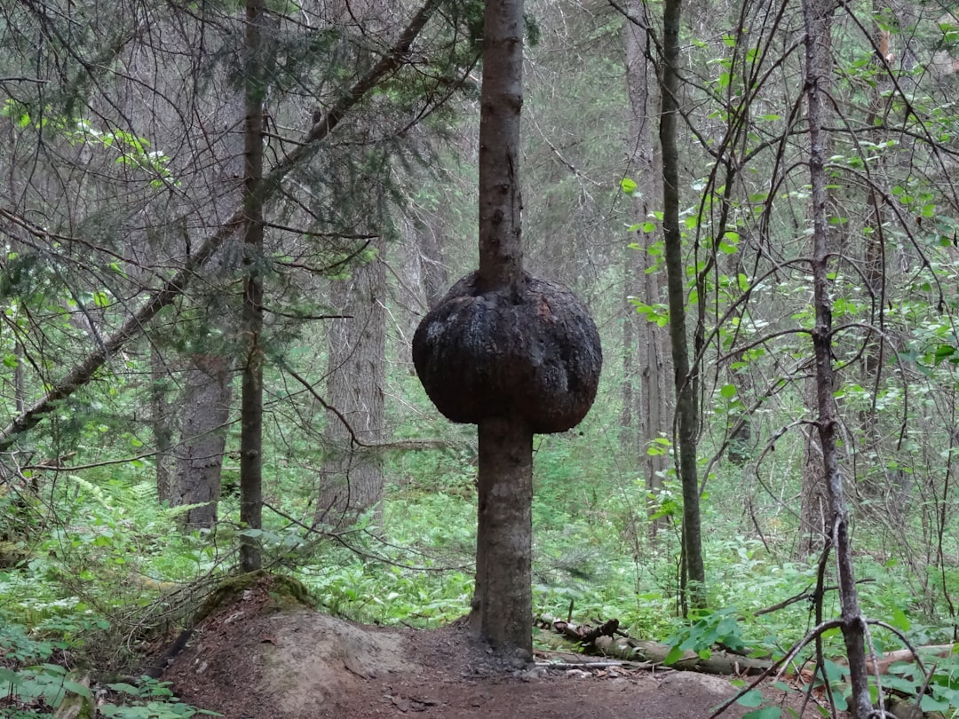 Gaziantep Doğal Yaşam Parkı’na Ara Tatilde 325 Bin Ziyaretçi - Yaşam haberi görseli Gaziantep Doğal Yaşam Parkı’na Ara Tatilde 325 Bin Ziyaretçi - Yaşam haberi görseli