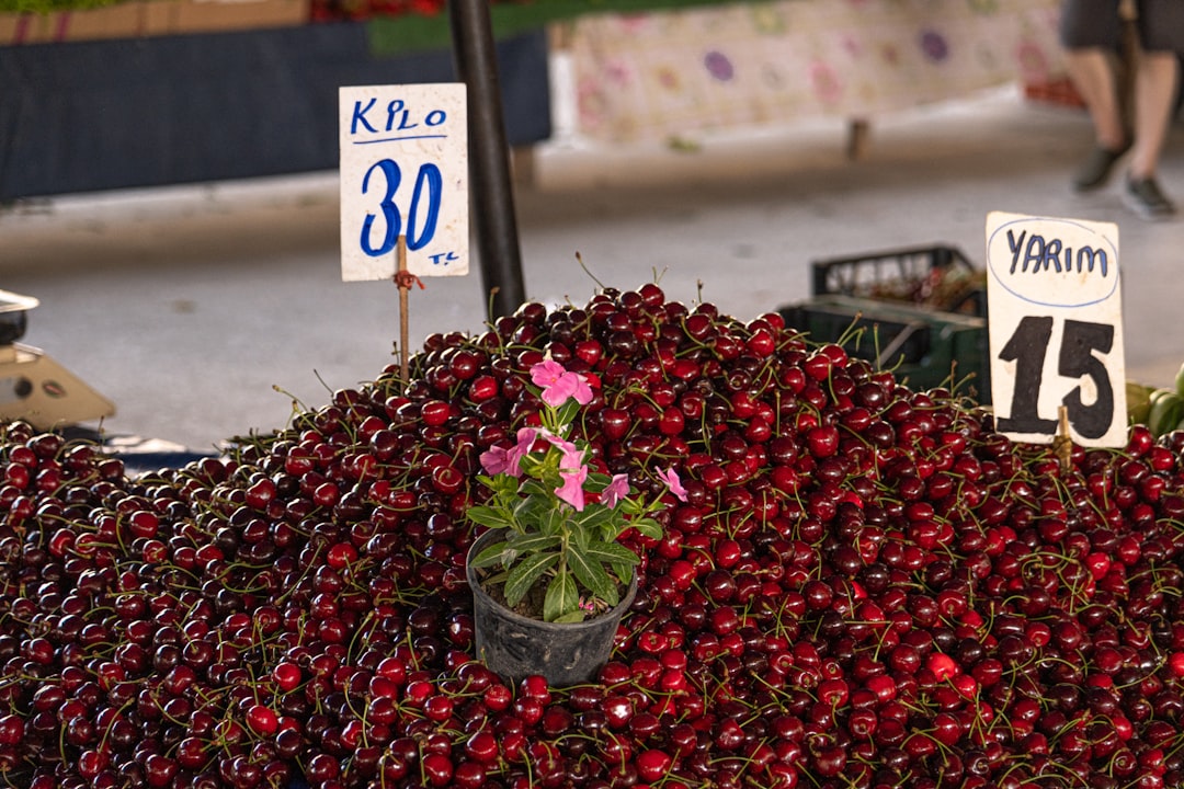 İzmir’de IPARD III Programı tanıtım toplantısı gerçekleştiriliyor - Ekonomi haberi görseli İzmir’de IPARD III Programı tanıtım toplantısı gerçekleştiriliyor - Ekonomi haberi görseli