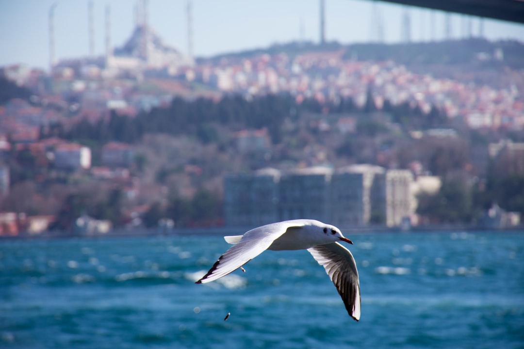 Nefesini Koru Semineri İzmir’de Yoğun İlgi Gördü - Sağlık haberi