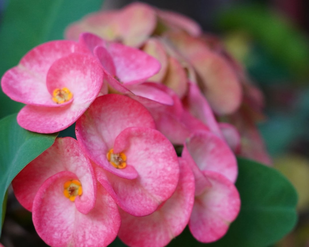 Türkiye’nin 2025 3. Çeyrek Büyüme Verileri Yarın Açıklanıyor - Ekonomi haberi görseli