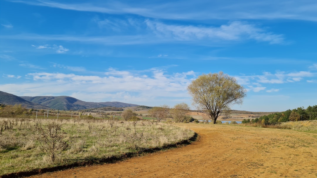 Tuna Caddesi’nde Ulaşımda Yeni Konfor Dönemi Başlıyor - Gündem haberi görseli