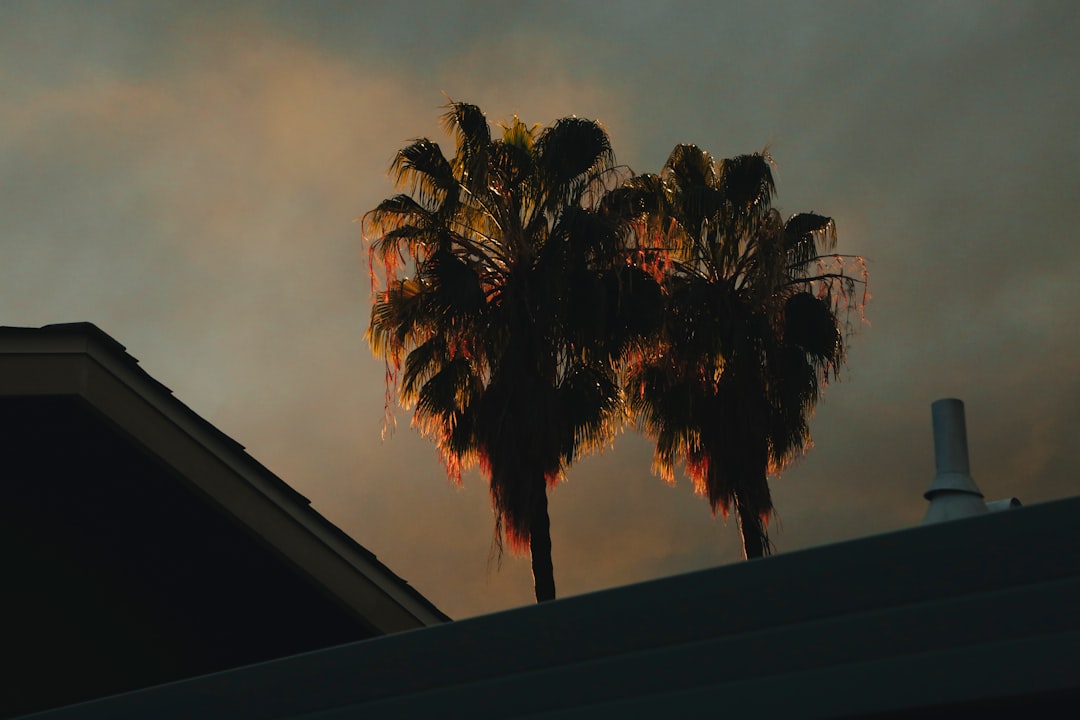 Kepez’de park halindeki araç alevlere teslim oldu - Yaşam haberi