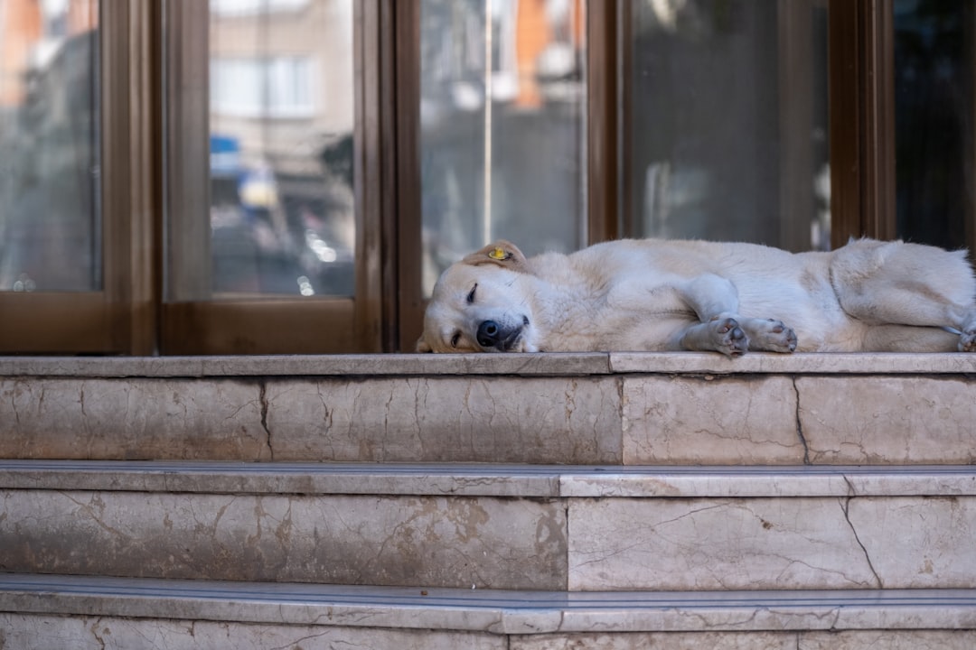 İstanbul’da Ulaşım Altyapısına Büyük Katkı: 2025 Yılı Raylı Sistem Yatırımları Belli Oldu - Ekonomi haberi görseli İstanbul’da Ulaşım Altyapısına Büyük Katkı: 2025 Yılı Raylı Sistem Yatırımları Belli Oldu - Ekonomi haberi görseli
