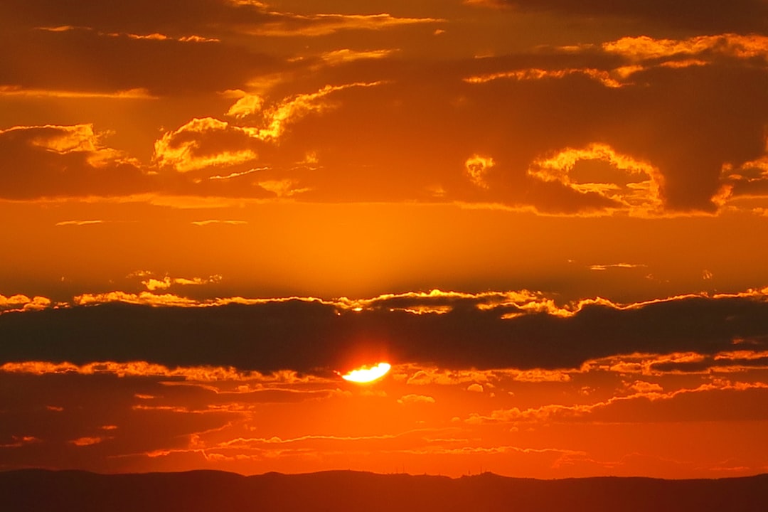 Bayramda Ankaralılar Gençlik Parkı’nda Yeşil ve Neşeyle Buluştu - Yaşam haberi görseli