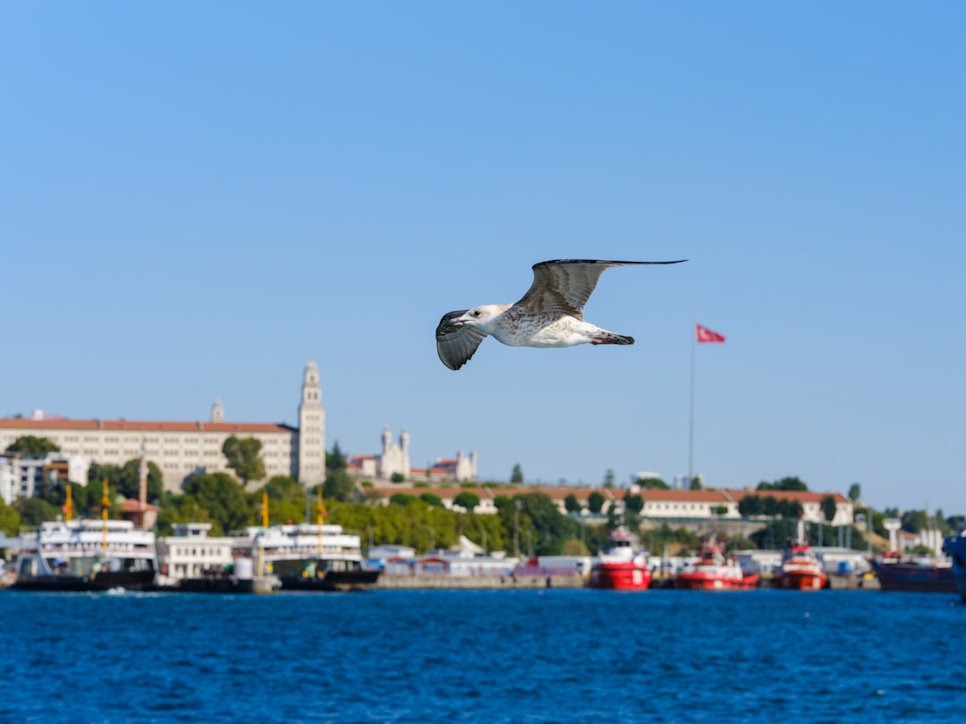 İstanbul’da 11 Aralık Perşembe Günü Kapalı Hava Koşulları Bekleniyor - Yaşam haberi