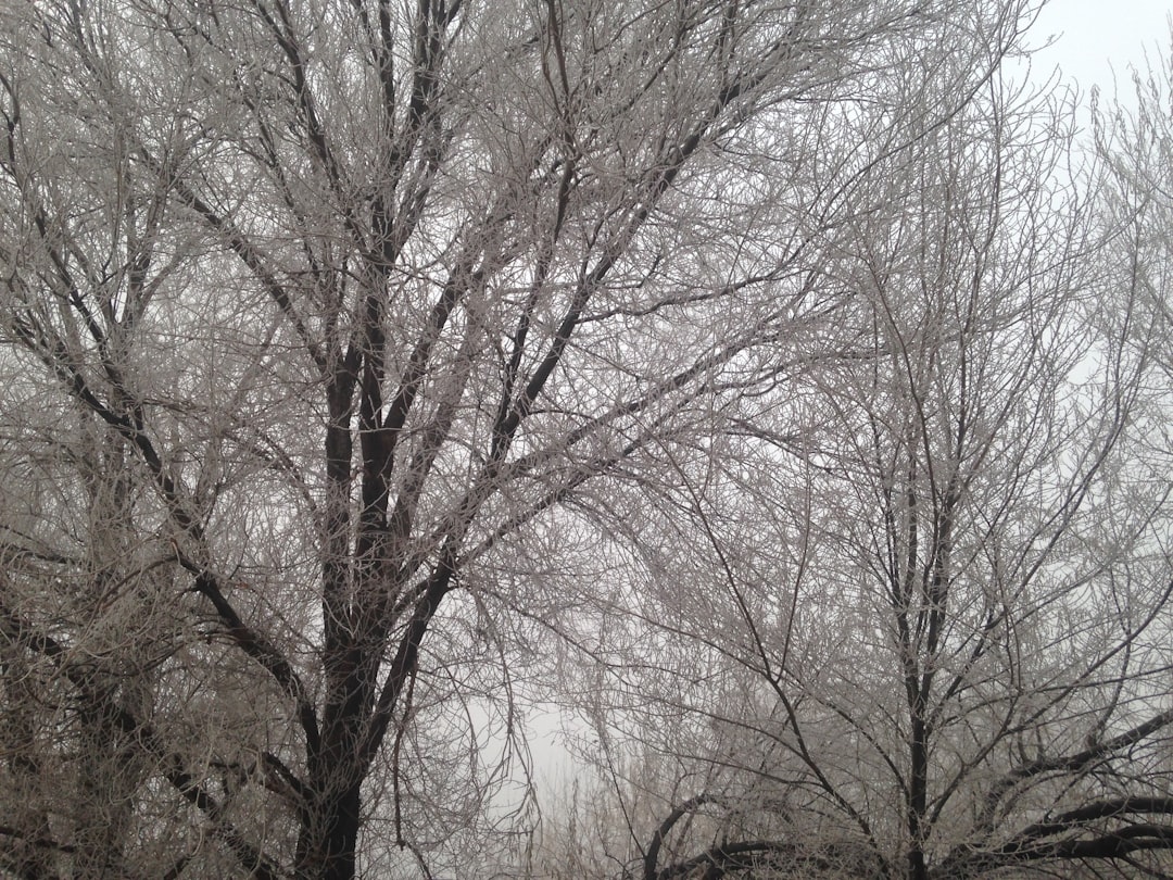 Konya’ya 5 Günlük Hava Uyarısı: Yağış ve Sıcaklık Dalgalanması Bekleniyor - Gündem haberi