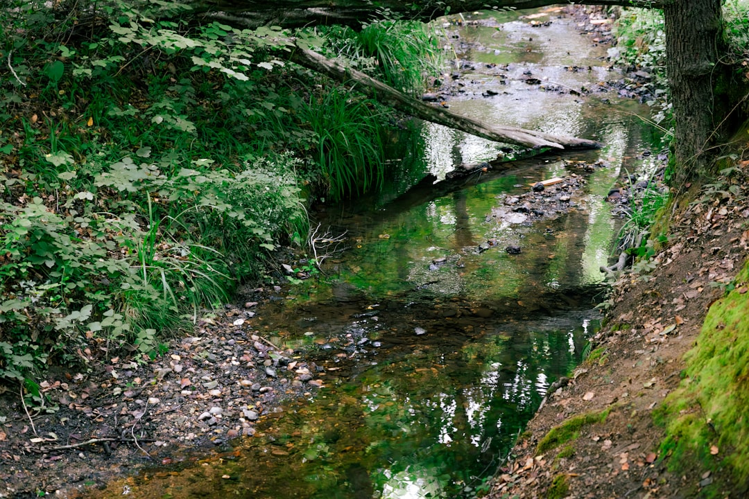 İSKİ’den İstanbul’da Bazı İlçelere Su Kesintisi Duyurusu - Gündem haberi İSKİ’den İstanbul’da Bazı İlçelere Su Kesintisi Duyurusu - Gündem haberi