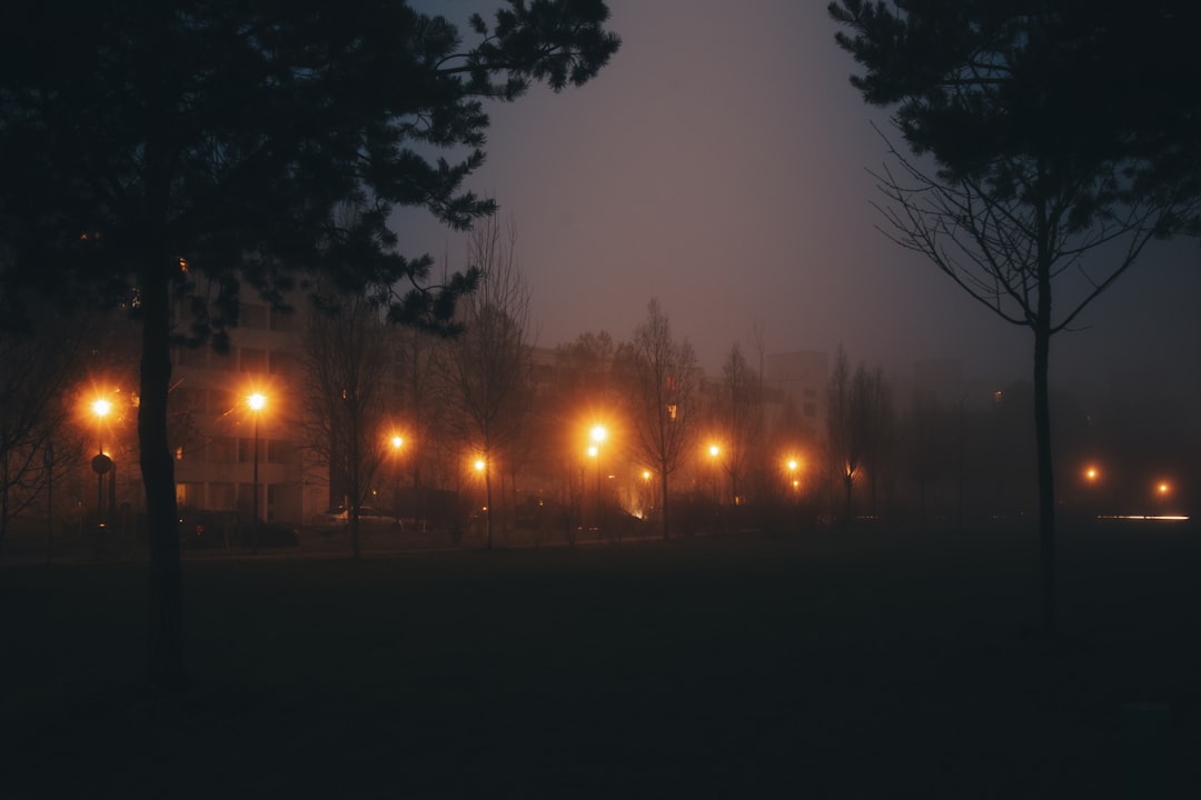 Bursa’da Hafta Sonu Sisli Hava Etkili Olacak - Yaşam haberi görseli