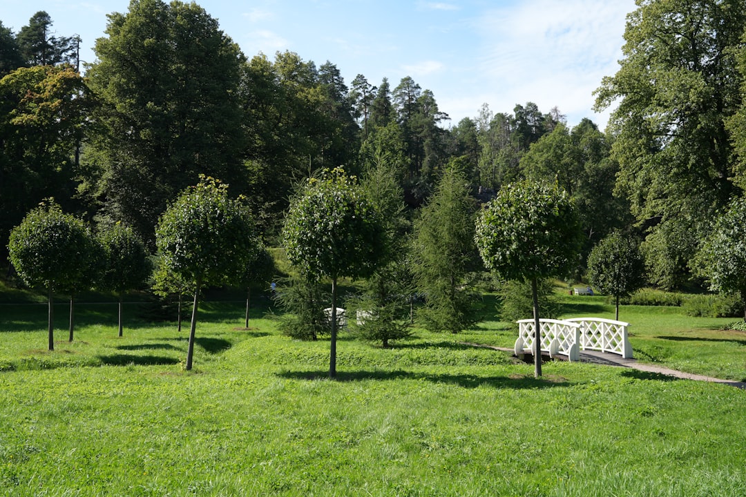 Gaziantep’e Yeni Soluk: Mithat Paşa Parkı Açıldı - Yaşam haberi