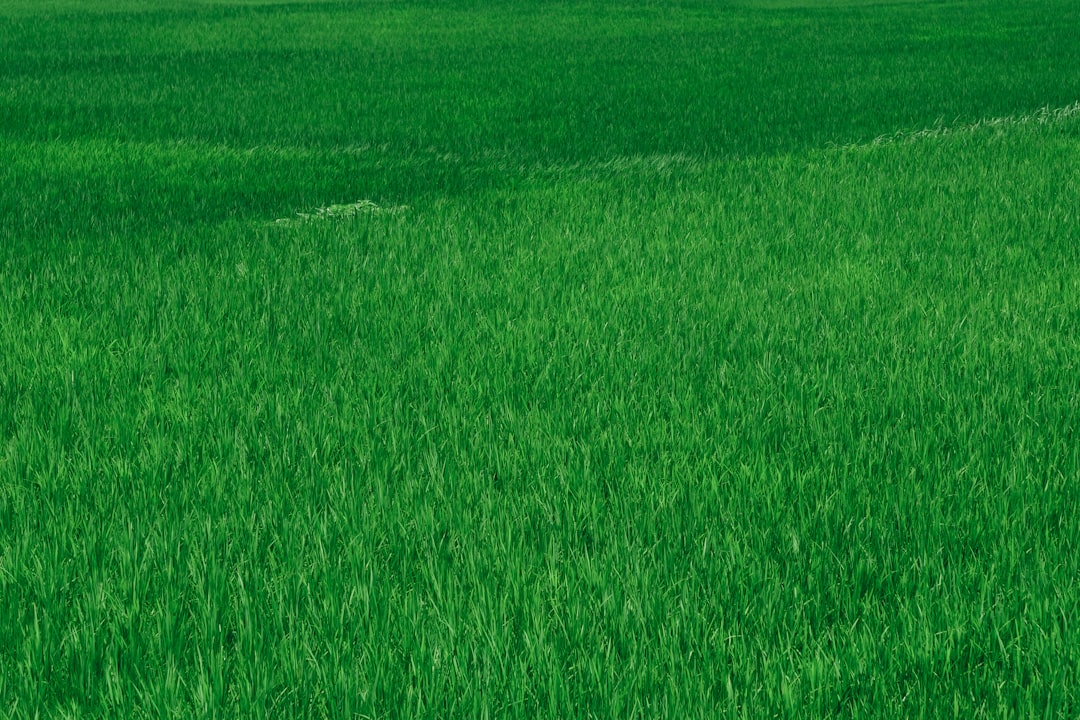 Konya’da Tarım Geleceği Masaya Yatırıldı - Gündem haberi Konya’da Tarım Geleceği Masaya Yatırıldı - Gündem haberi