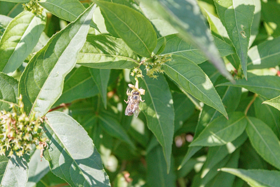 Gaziantep’te Tarım Sektöründeki Zorluklar Ekonomiyi Etkiliyor - Ekonomi haberi görseli Gaziantep’te Tarım Sektöründeki Zorluklar Ekonomiyi Etkiliyor - Ekonomi haberi görseli