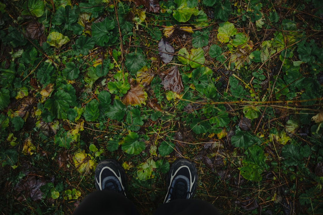 “Konya’da Yürüyoruz” Etkinliği Aralık’ta Seydişehir Rotasıyla Devam Ediyor - Yaşam haberi