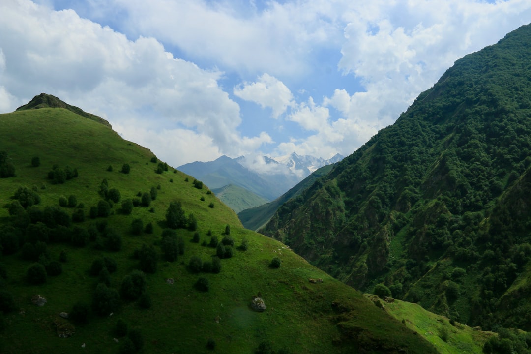 Bursa’da Kültür Köprüsü: “Kafkaslar’dan Anadolu’ya” Konseriyle Sanat Buluşması - Kültür-Sanat haberi görseli