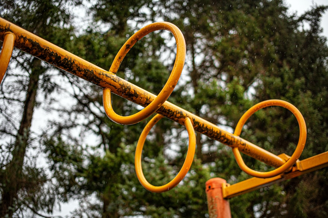 Antalyaspor’un Genç Yıldızı Selen Camcı’dan Balkan Şampiyonası’nda Gümüş Madalya - Spor haberi görseli