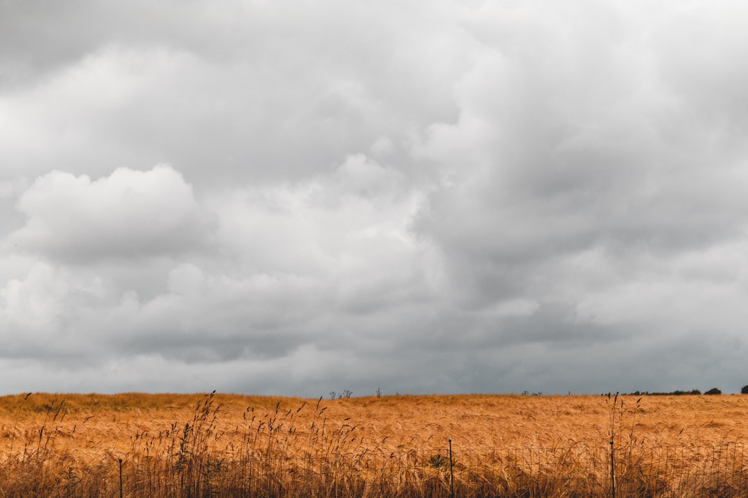 Gaziantep’te Cuma Günü Bulutlu, Yağış Beklenmiyor - Gündem haberi görseli