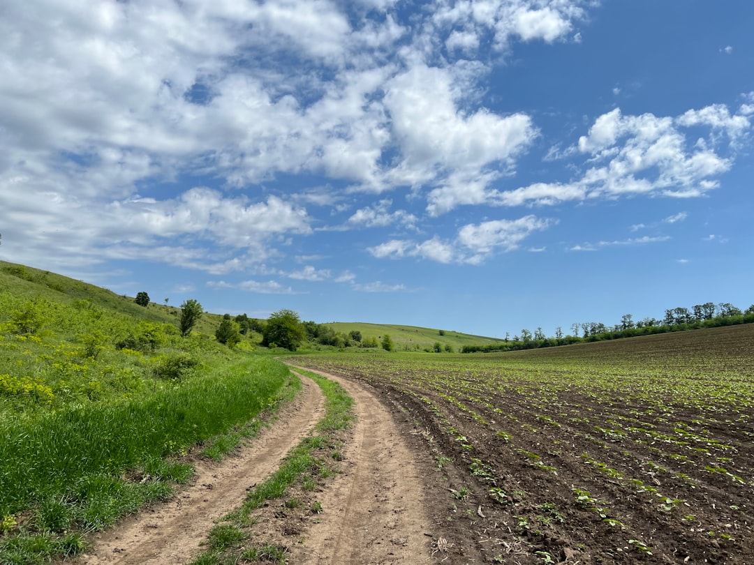 İzmir Ticaret Borsası’ndan Uyarı: Tarımdaki Daralmanın Enflasyon ve Gıda Arzına Etkisi Büyük - Ekonomi haberi görseli