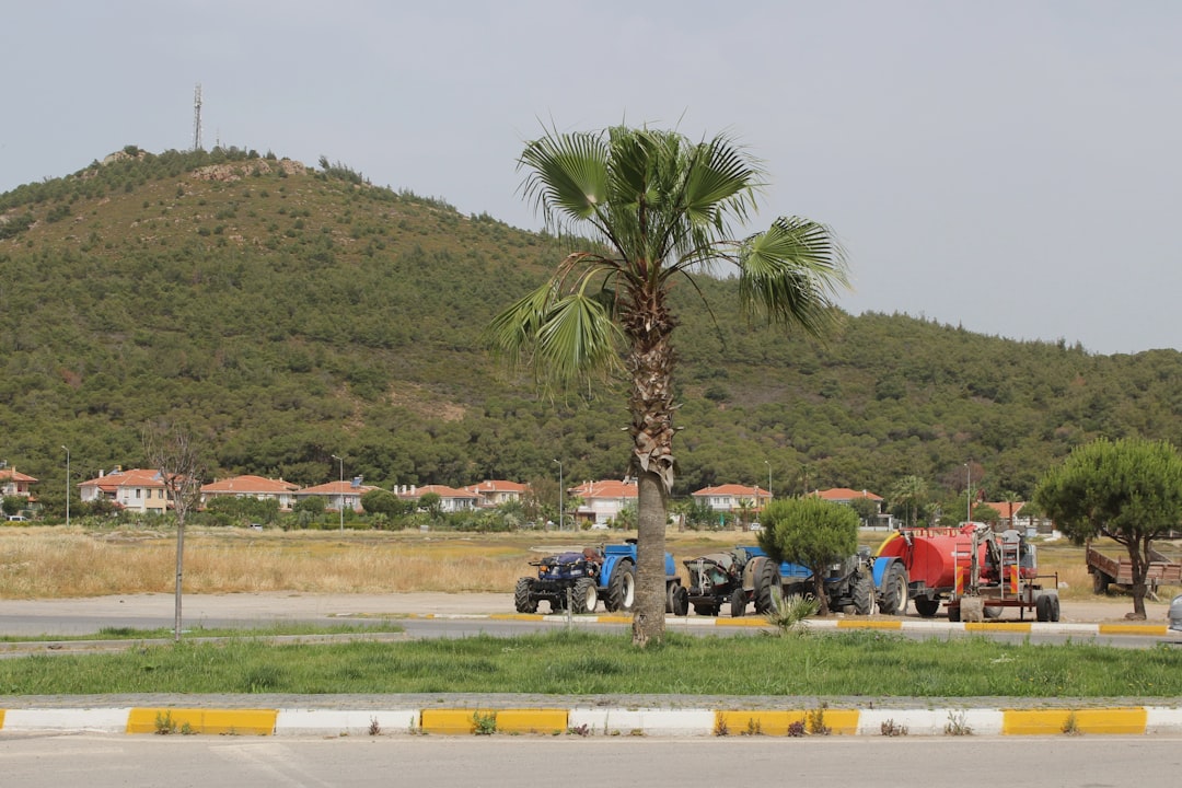 Adana Kuru Meyve Sektöründe 2025 Değerlendirmesi Yapıldı - Ekonomi haberi görseli