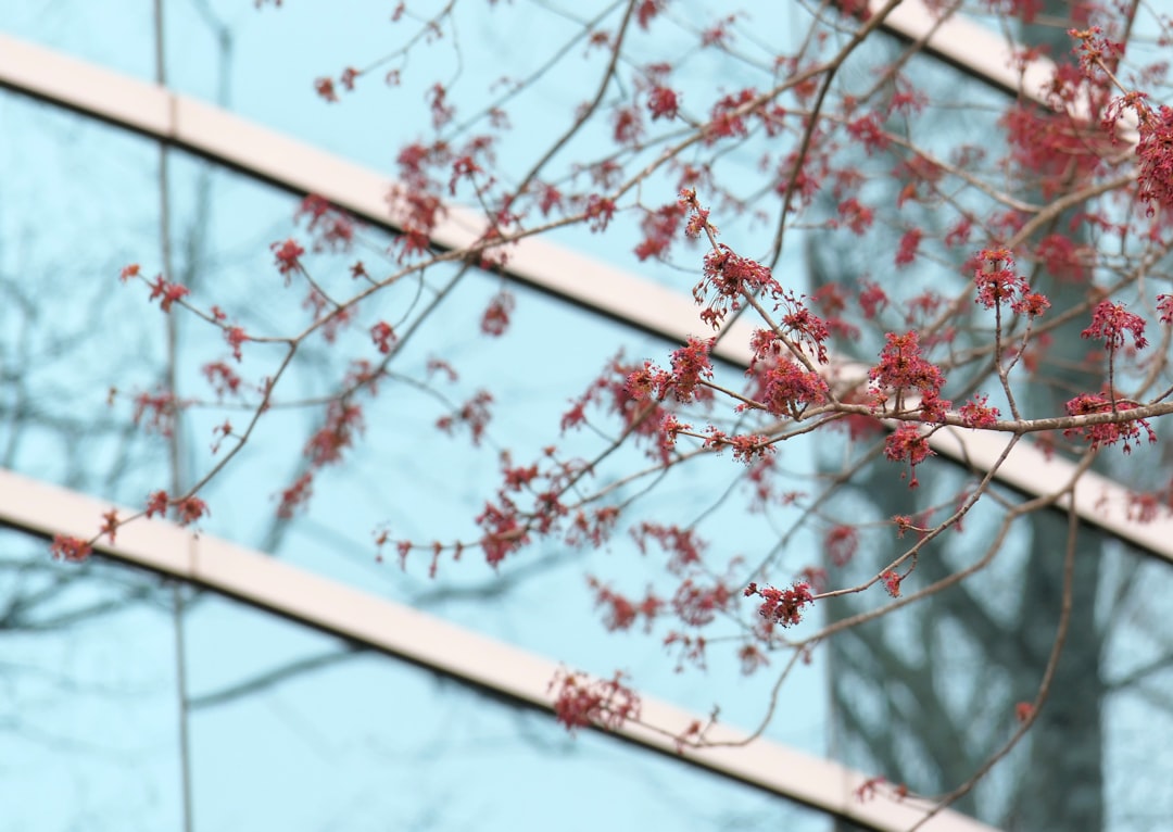 Bursa’da Sağlıklı Şehirler İçin 'Bursa Taahhüdü' Açıklandı - Sağlık haberi görseli