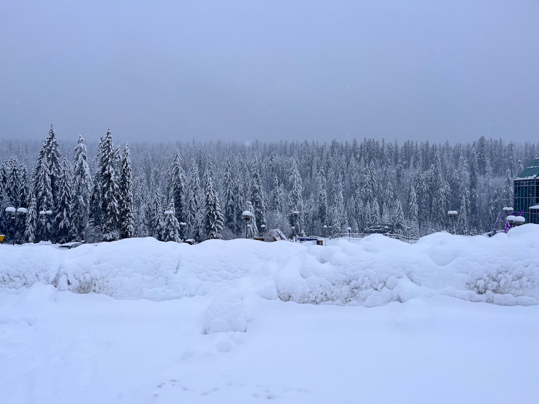 Gaziantep’te Yoğun Kar Altında Yeni Yıla Coşkulu Hoşgeldiniz - Yaşam haberi görseli Gaziantep’te Yoğun Kar Altında Yeni Yıla Coşkulu Hoşgeldiniz - Yaşam haberi görseli