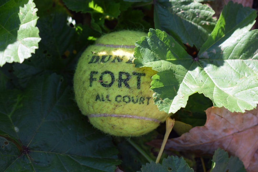 Konya Gençlik ve Spor İl Müdürlüğü’nden 60 Milyon TL’lik Spor Malzemesi Desteği - Spor haberi görseli