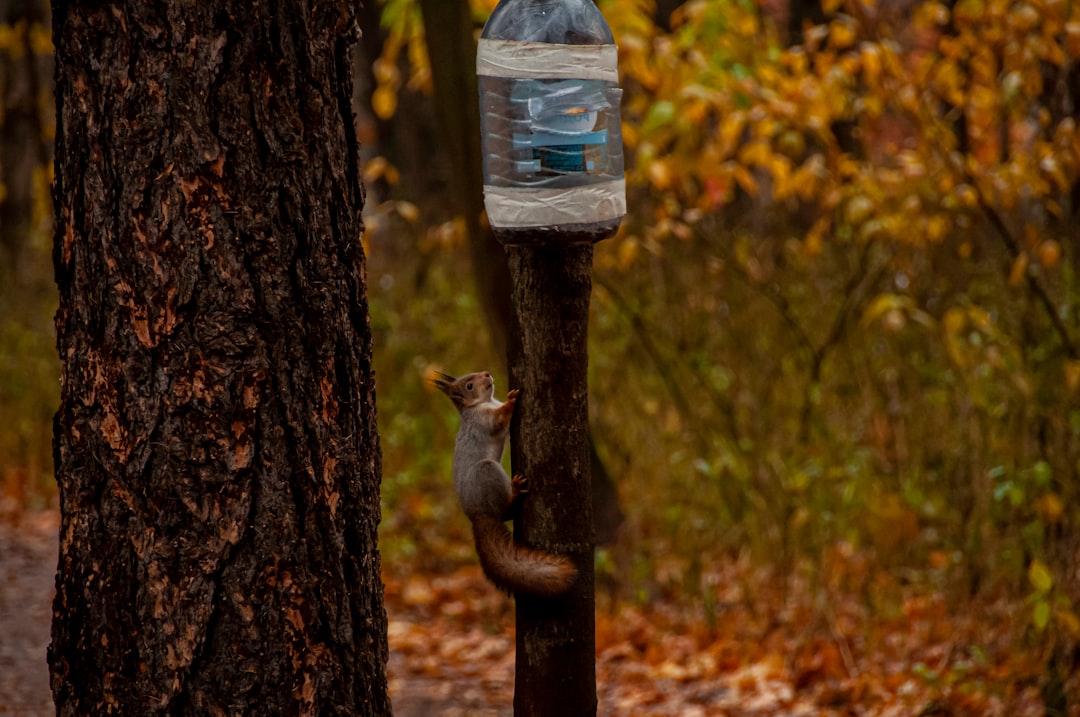 ASKİ’den Başkentte Gece Boyunca Planlı Su Basınç Düzenlemesi - Gündem haberi görseli