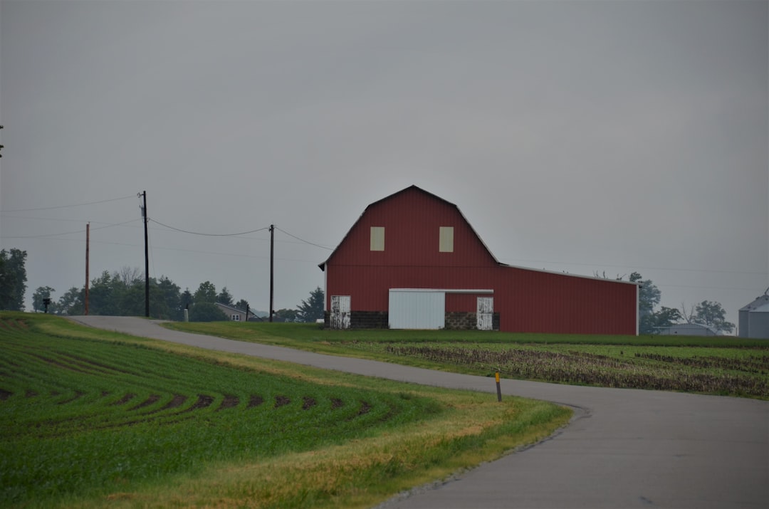 Ödemiş’te Traktör ile Pikabın Çarpıştığı Kaza: Sürücüler Yaralandı - Gündem haberi görseli