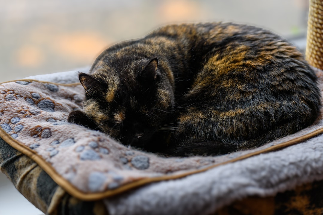 Bursa Büyükşehir, 2025 yılında binlerce hastaya evde sağlık hizmeti sundu - Sağlık haberi görseli