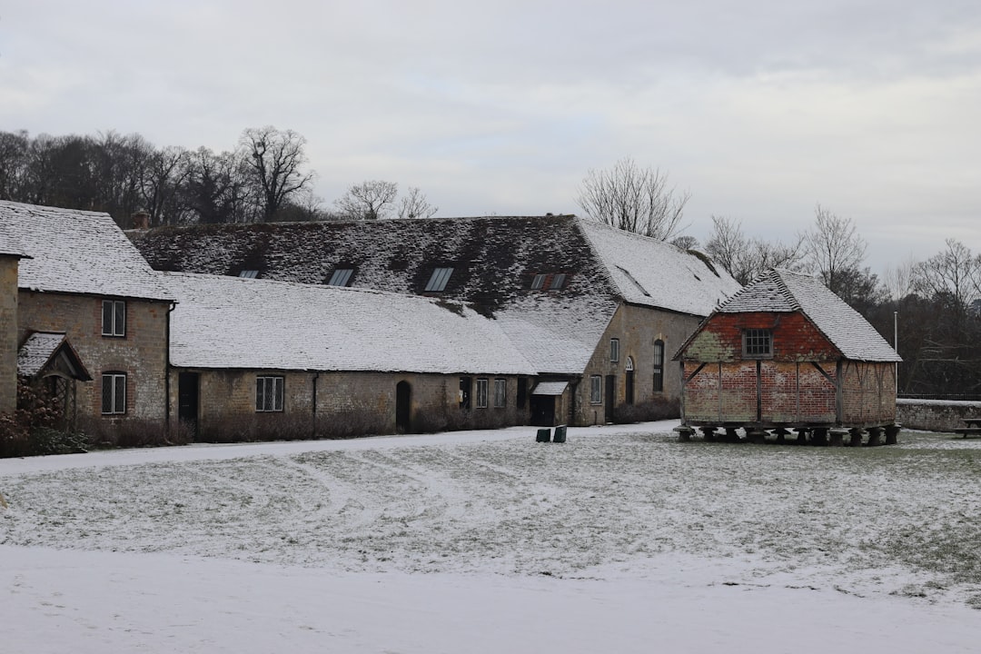 Kar Yağışı Çiftçinin Yüzünü Güldürdü - Yaşam haberi görseli