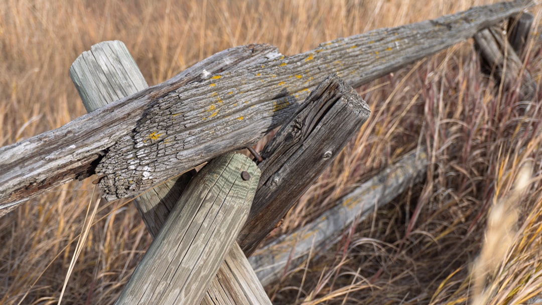 Konya Ovası'nda Kırmızı Alarm - Ekonomi haberi görseli Konya Ovası'nda Kırmızı Alarm - Ekonomi haberi görseli