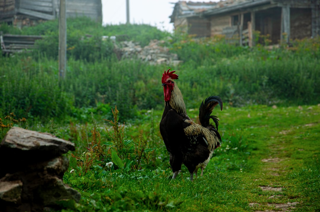 Adana 5 Ocak Devlet Hastanesi ‘Ulusal Anne Dostu’ Unvanını Aldı - Sağlık haberi