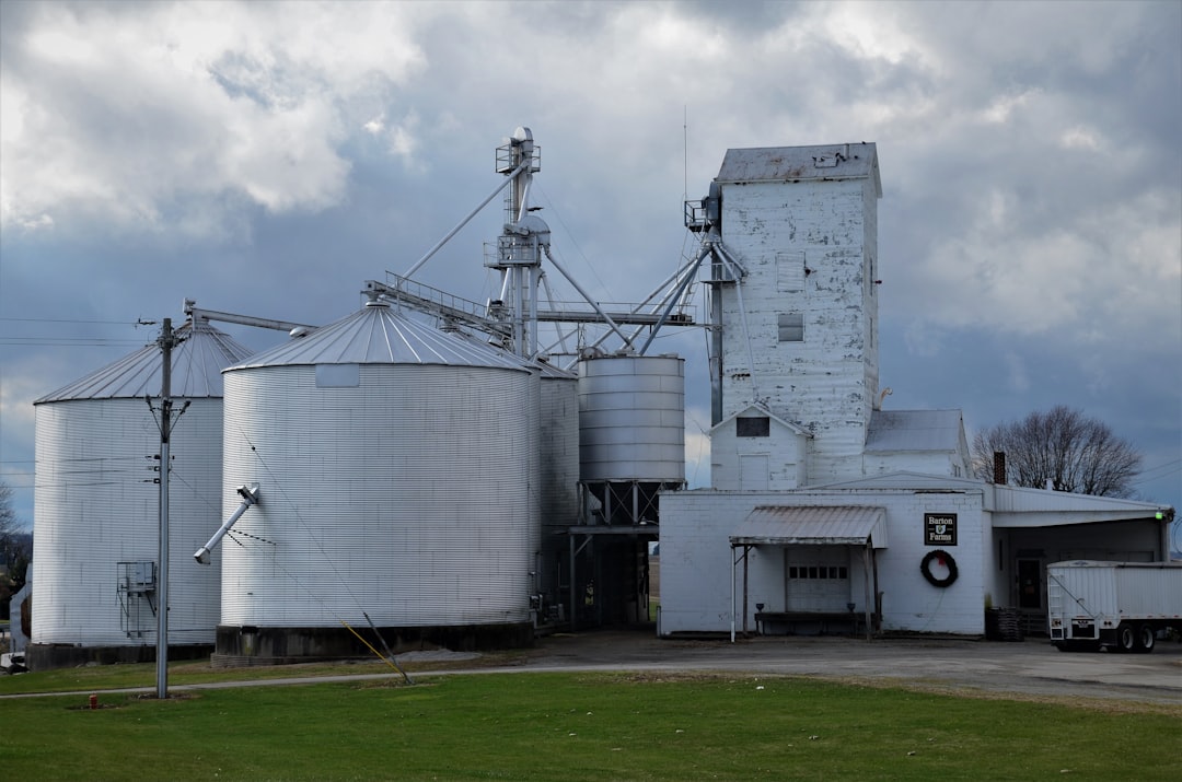 GSO: Hububat ve Mamulleri İhracatı 2025’te Yüzde 3,6 Arttı - Ekonomi haberi görseli